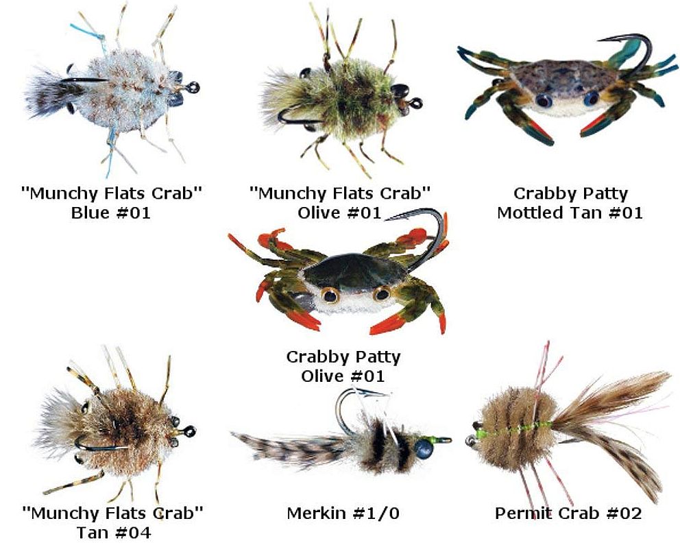 crab flies